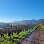 Alsace Near Vosges Nature Park