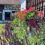 Vakantiehuis Alsace Near Vosges Nature Park