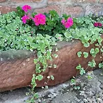 Vakantiehuis Alsace Near Vosges Nature Park *