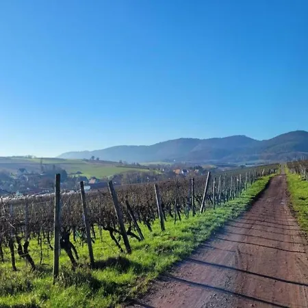 Alsace Near Vosges Nature Park