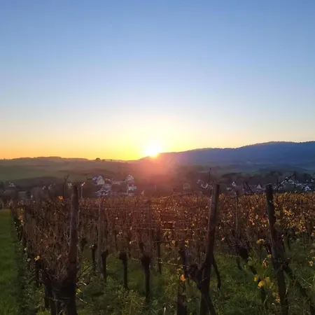 Alsace Near Vosges Nature Park *