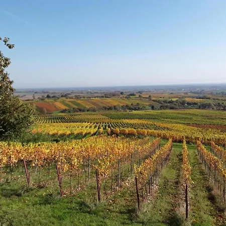 Alsace Near Vosges Nature Park Schleithal