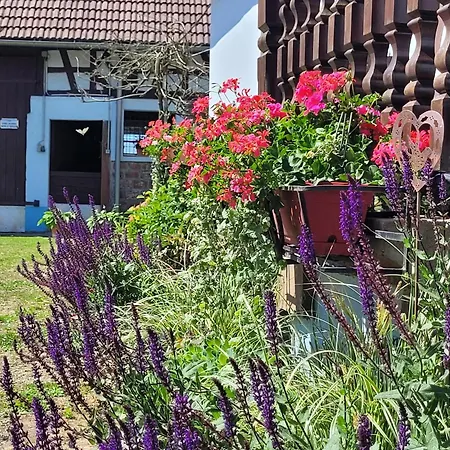 بيت للعطل Alsace Near Vosges Nature Park