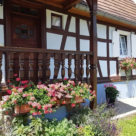 Alsace Near Vosges Nature Park *