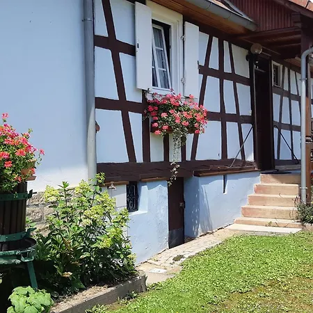 Ferienhaus Alsace Near Vosges Nature Park *