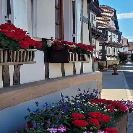 Alsace Near Vosges Nature Park * Schleithal