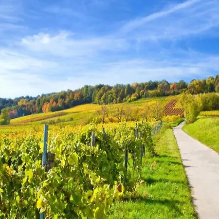Alsace Near Vosges Nature Park Casa vacanze Schleithal