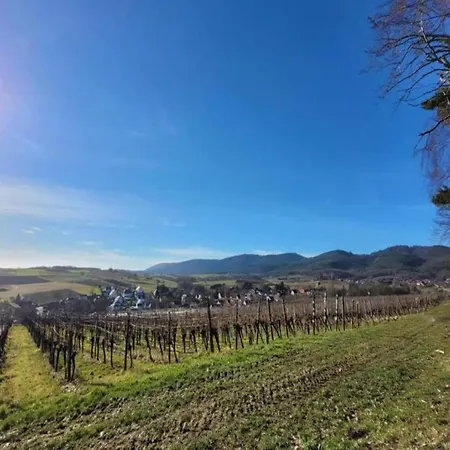 Alsace Near Vosges Nature Park Schleithal