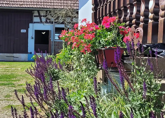 Ferienhaus Alsace Near Vosges Nature Park