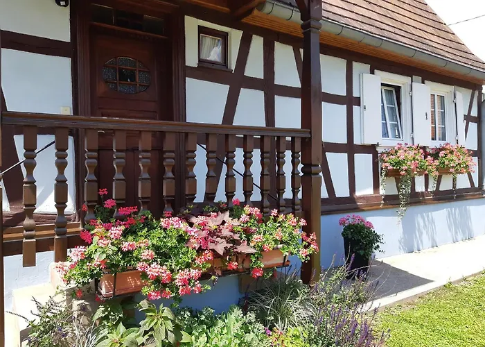 Alsace Near Vosges Nature Park *