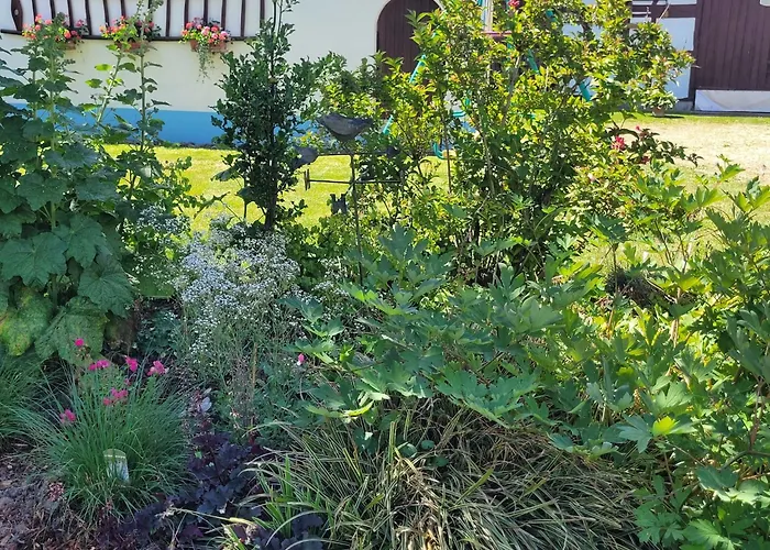 Alsace Near Vosges Nature Park Ferienhaus