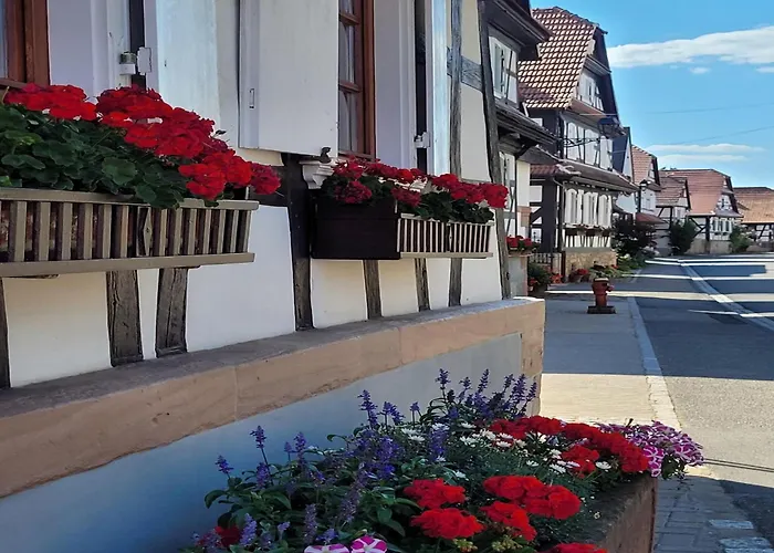 Alsace Near Vosges Nature Park * Schleithal