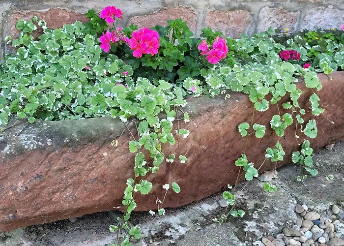 Ferienhaus Alsace Near Vosges Nature Park *